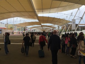 IMG_0445